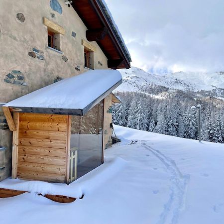 Alpine Dream House - Chalet Gressan Ngoại thất bức ảnh